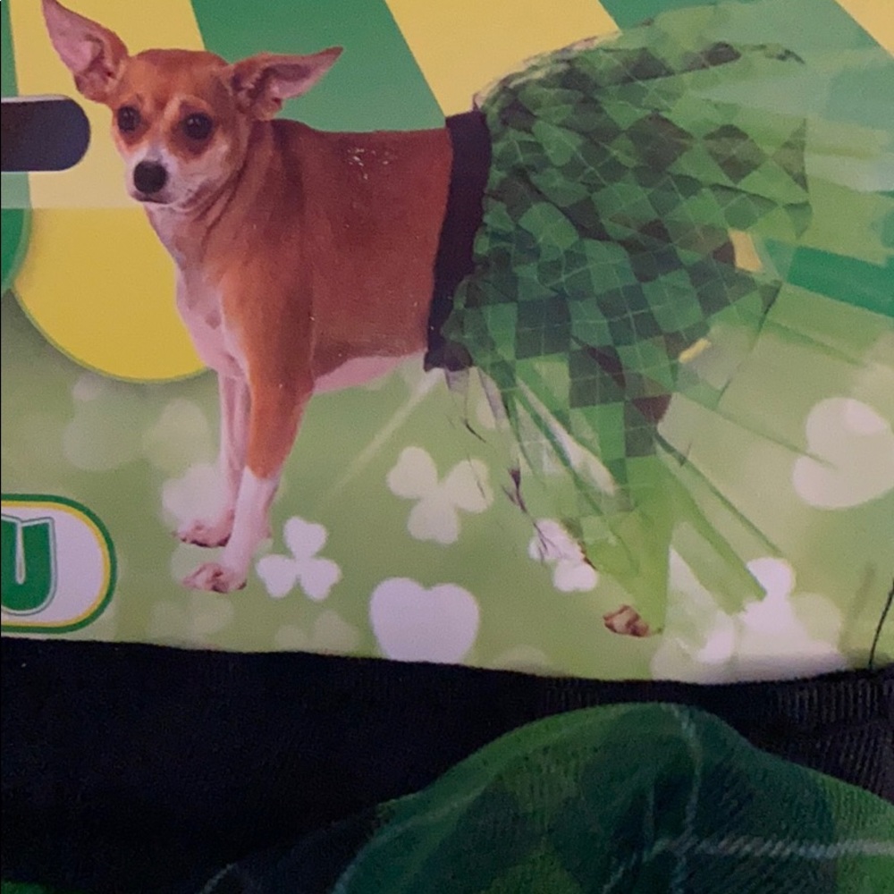 Pet Shop Boutique TuTu (sm-med) size Dog